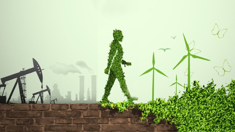 Transitioning to a Low-Carbon Economy